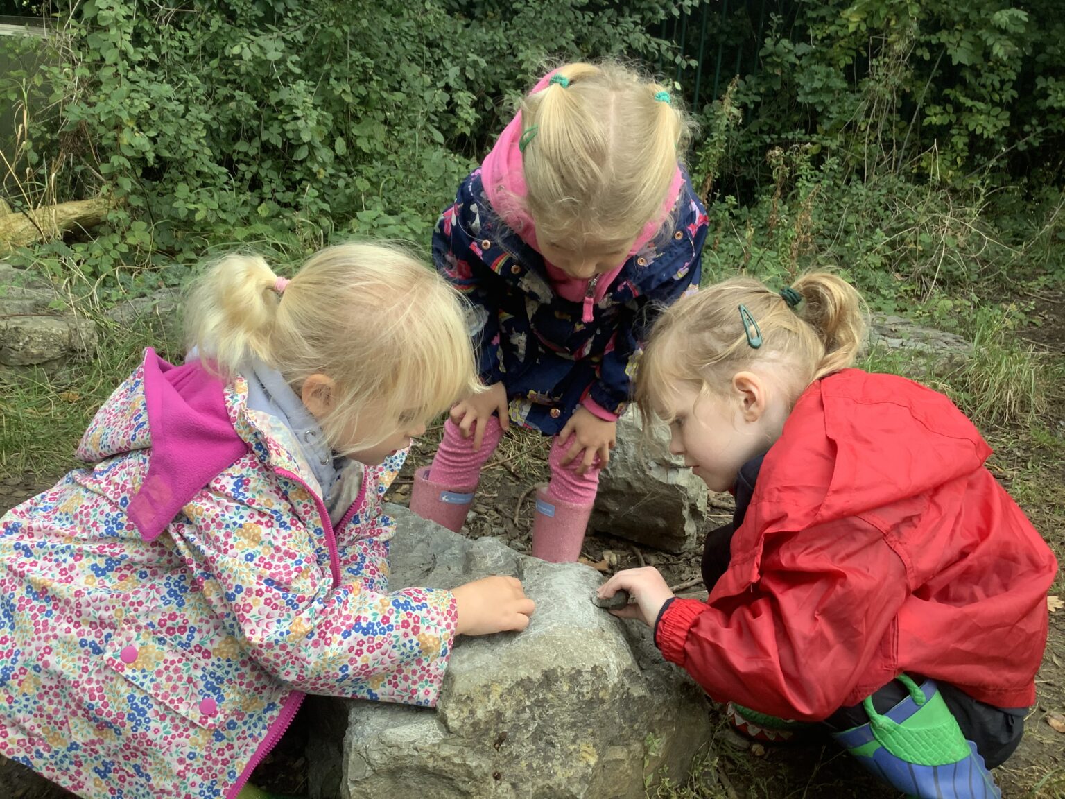 OPAL Play - Woodmancote School